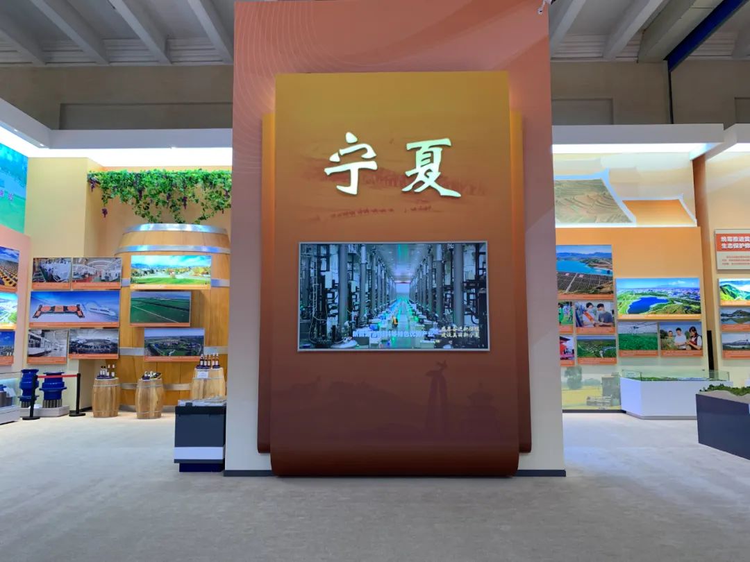 奋进新时代主题成就展宁夏元素备受瞩目